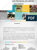 17-MP-de-Canchis-Experiencia-Procompite-de-Gobierno-Local.pdf