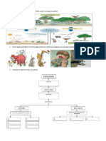 Relaciones ecológicas en los ecosistemas