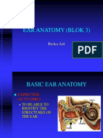 Ear Anatomy (Blok 3) : Rizka Adi