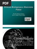 Aula - Ritmos Biologicos - Marcelo - MECI