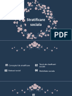 Stratificare Sociala Prezentare