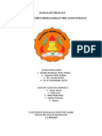 Klasifikasi Virus DNA RNA