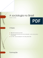 A sociologia no Brasil.pptx