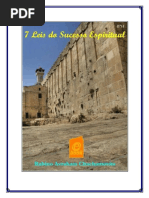 7 Leis Do Sucesso Espiritual