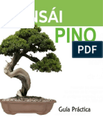 Guia Del Bonsai Pino PDF