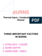 Burns: Thermal Injury / Combustion / Burn Wound