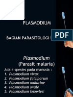 plasmodium