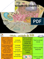 A Célula - estrutura e função.pdf