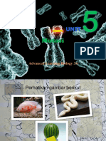 UNIT 5 Mutasi - Pps