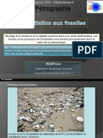 TP Initiation de Base Aux Fossiles PDF