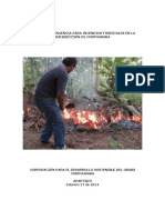 Incendio forestal.pdf