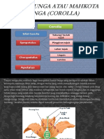 Hukum Archimides Dan Hidrostatis.