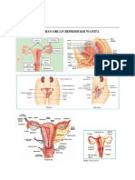 Biologi (Reproduksi)