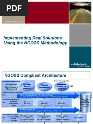 Implementing Ngoss Solutions Information Management Computing