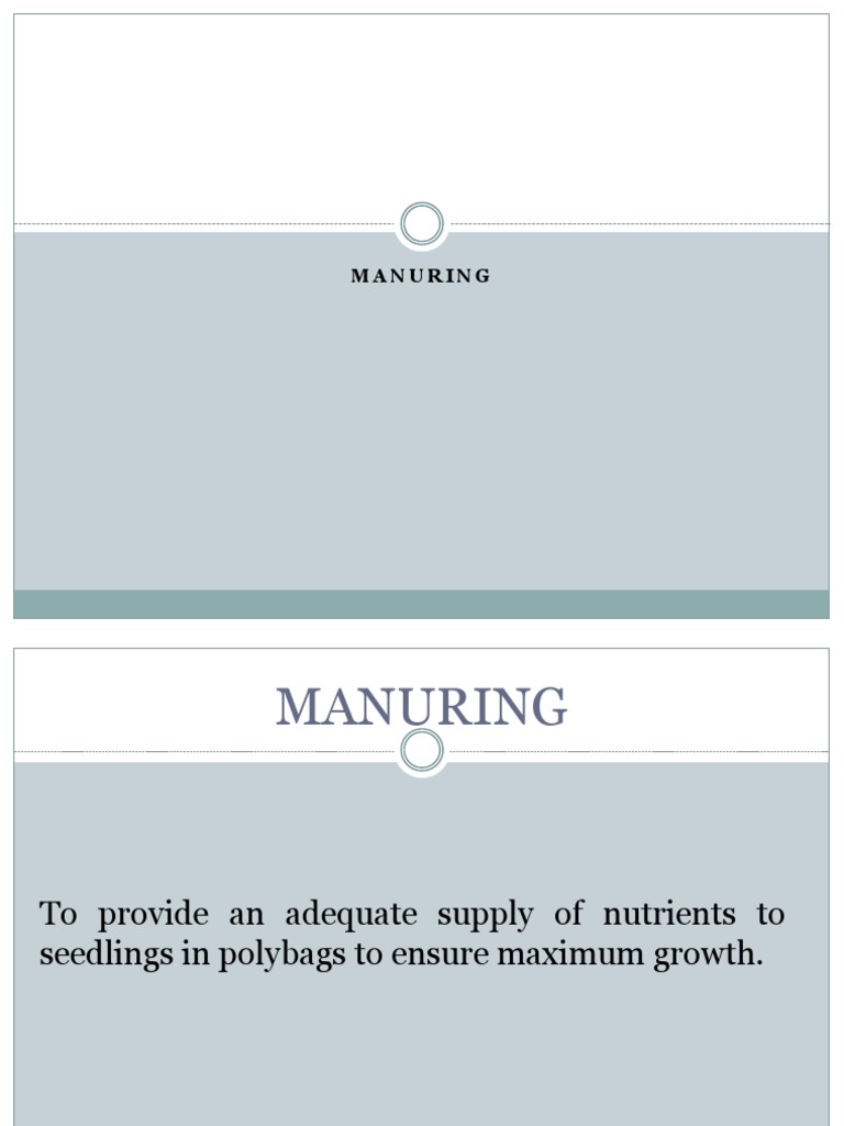 Manuring Guidelines for Seedlings | PDF | Fertilizer | Manure