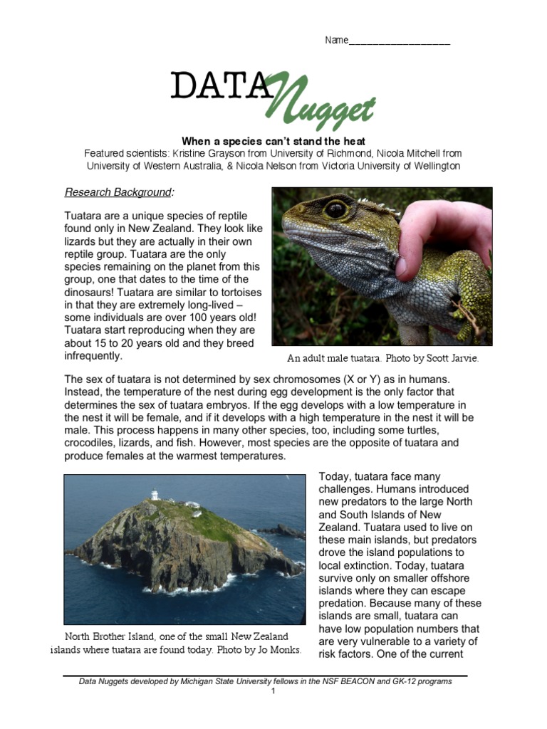 Tuatara Sex Ratio and Climate Impact | PDF | Reptile | Organisms