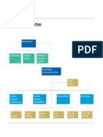 Organisational Structure: Acting Chief Executive Officer