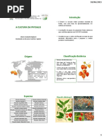Cultura-da-Physalis.pdf