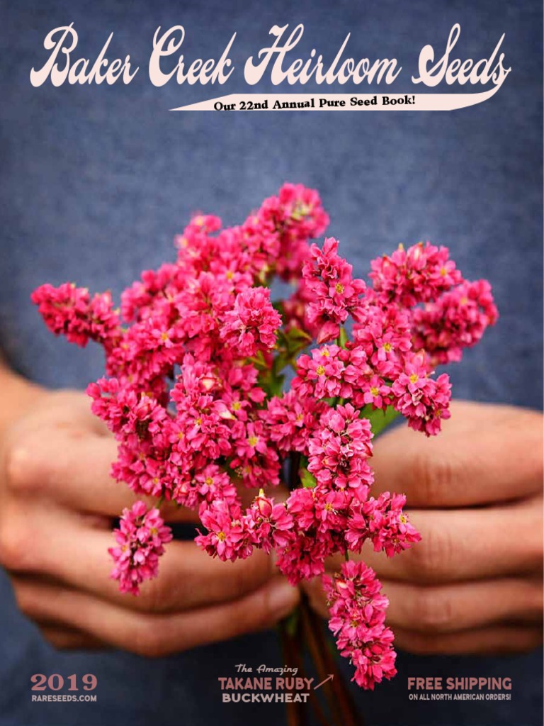 shiny flowers cocozella New for 2024 - Solana Seeds