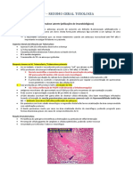 MIP Resumo Geral