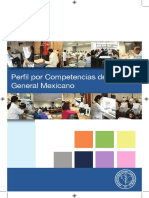 perfilporcompetencia.pdf