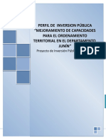 Perfil de Inversion Publica