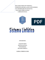 Sistema linfático: conceptos y órganos