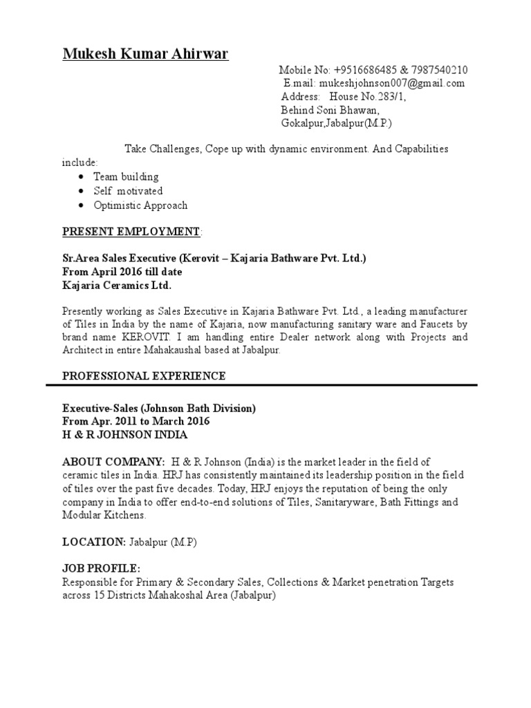 Sales Executive Resume | PDF | Business | Economies