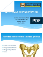 Anatomía del piso Pélvico.pdf