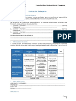 Rubrica Opinión de Experto Idea de Proyecto