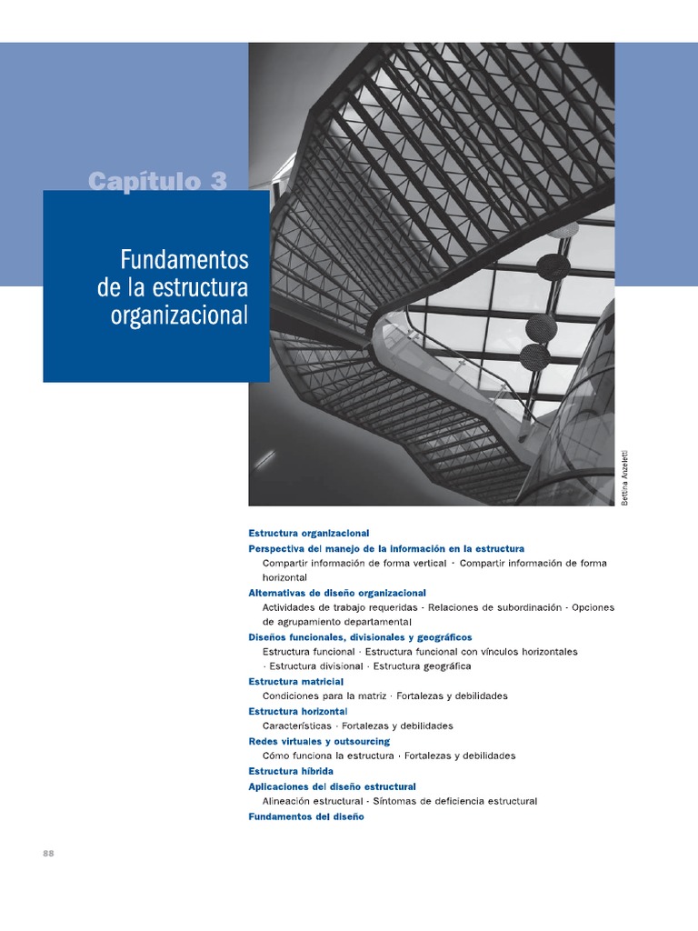 Cap 3 Fundamentos de La Estructura Organizacional PDF | PDF