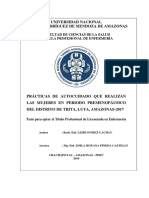 INFORME TESISTITULO lEI FINAL - Copia-Converted 1 PDF