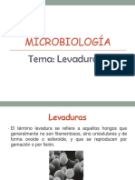 Microbiologia-Levaduras-pdf (2).pdf