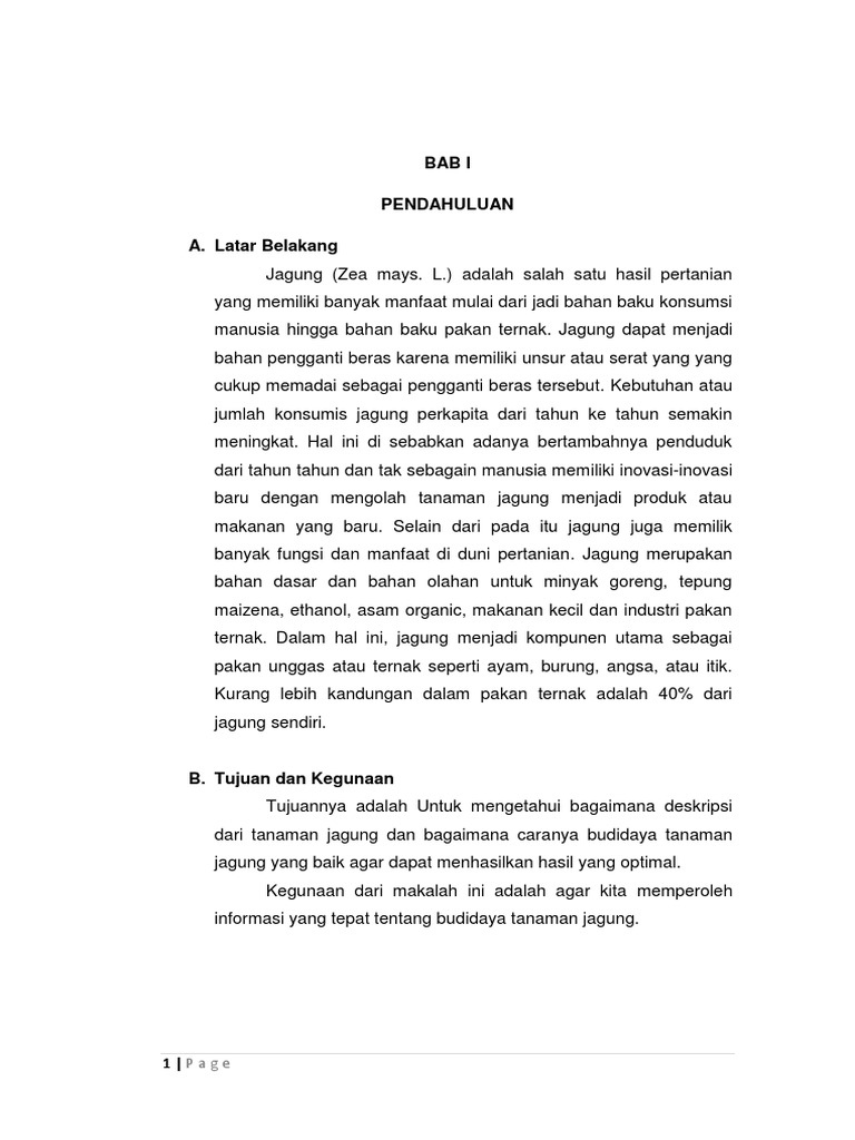 Budidaya Tanaman Jagung Revisi Docx