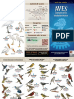 Aves Comunes de La CDMX2 PDF