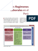SERVIR - El servicio civil peruano - Cap2.PDF