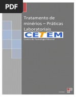 TRATAMENTO DE MINERIOS PRATICAS LABORATORIAIS.pdf