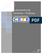 Tratamento de Minerios Praticas Laboratoriais PDF