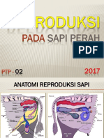 2017 - PTP-kuliah-2-reproduksi Pada Sapi Perah