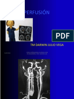 Perfusión PDF
