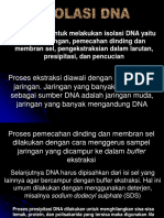 Isolasi Dna