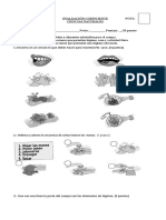 Prueba Ciencias Cuidado Del Cuerpo