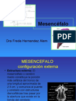 Mesencefalo