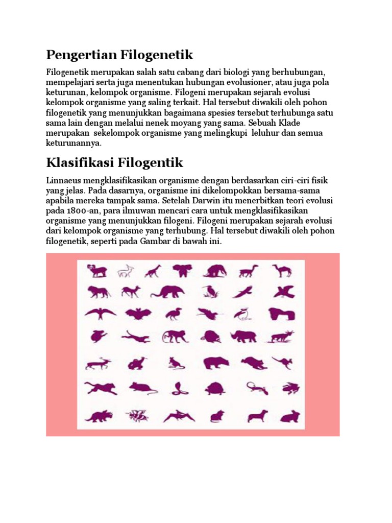 Klasifikasi dan Jenis Filogenetik | PDF | Filsafat | Sains & Matematika