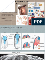 Desarrollo embrionario del SNC (1).pptx