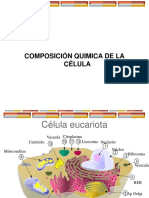 Composicion Quimica Celular
