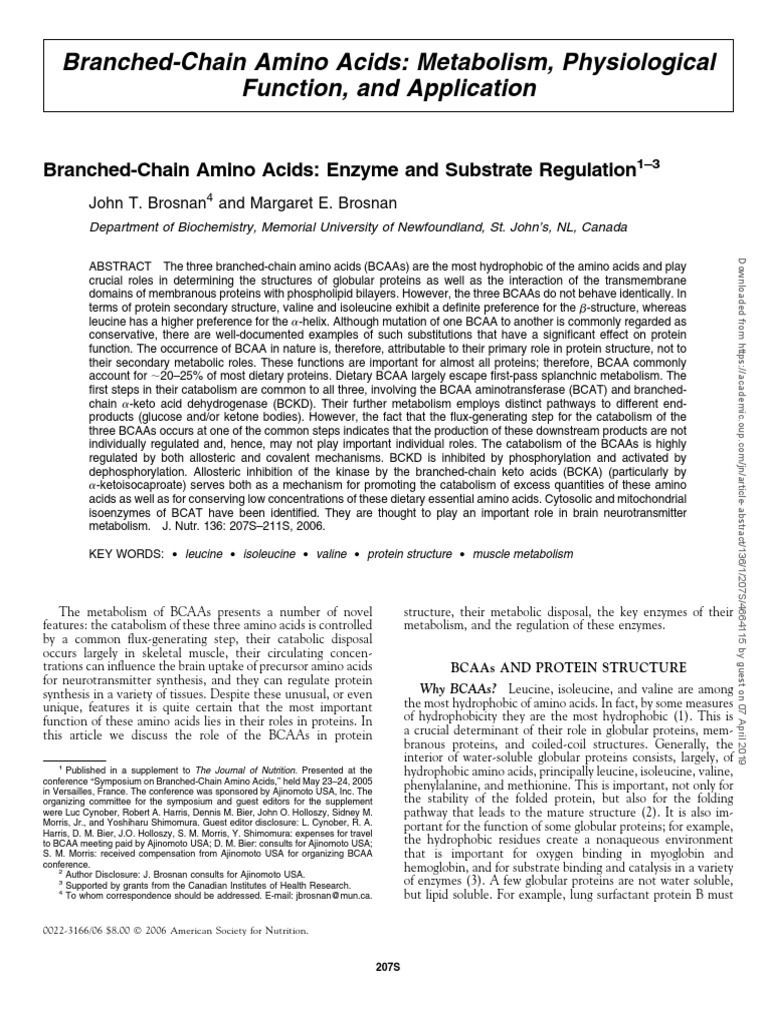 BranchedChain Amino Acids Metabolism, Physiological Function, and
