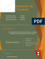 Elaboración de Proyecto FINAL2.pptx