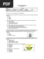 Prueba Fotosintesis 6