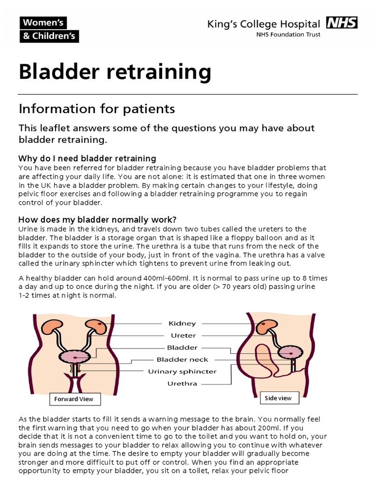 Bladder Training PDF PDF Urinary Incontinence Urology